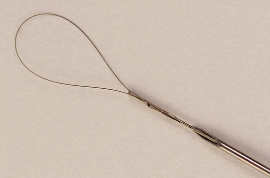 The loop brush sticking out of the end of a needle