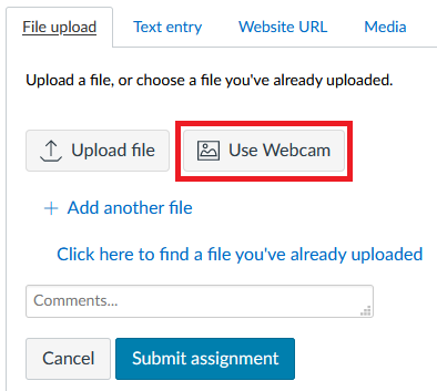 Screenshot assignment submission page with "use webcam" button highlighted