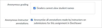 Ticked boxes for anonymous grading and anonymous instructor annotations.