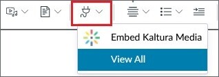 The app button with dropdown menu opened, showing "Embed Kaltura Media" and "View All"