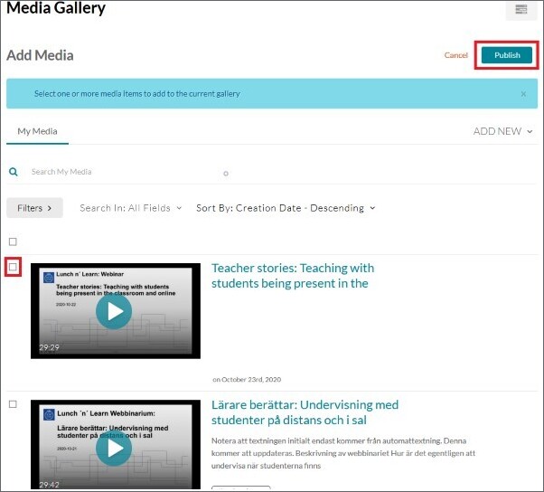 Screenshot of adding to he Media Gallery. Video checkbox and Publish button marked