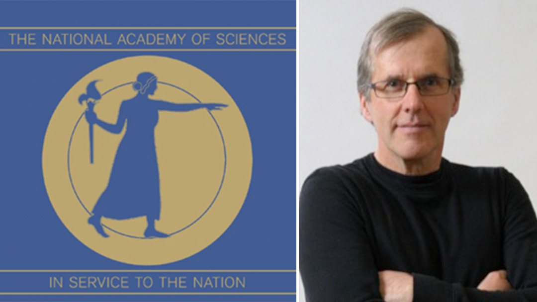 Nas logo and Ralph G Nuzzo.