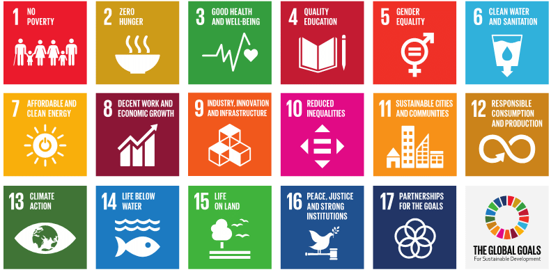 Picture of the 17 global goals for sustainable development