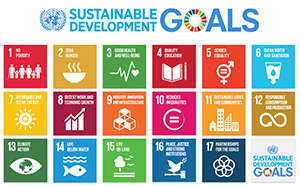 The Global Goals and the 2030 Agenda for Sustainable Development
