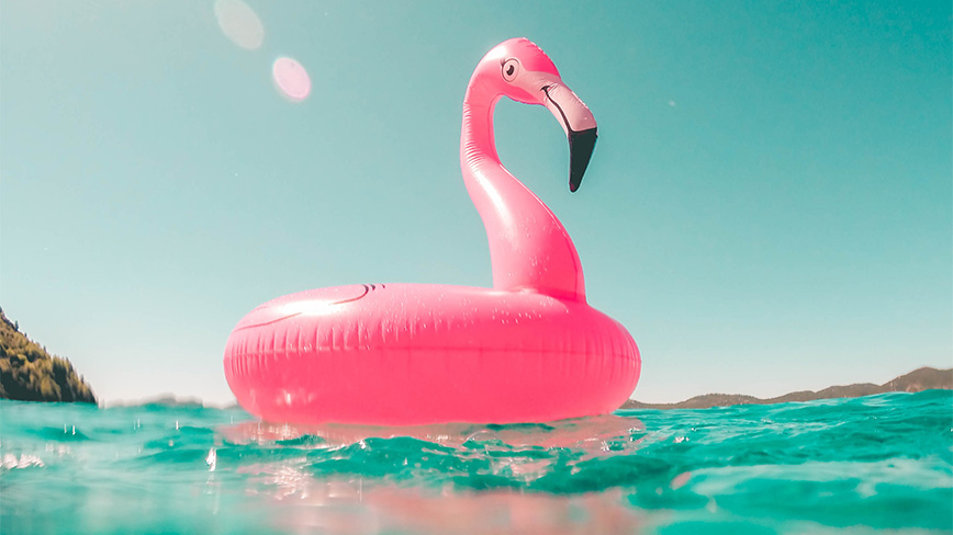 Flamingobadring på vattnet.