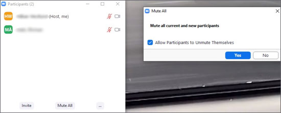 Participant list and dialog box of the choices for "Mute all"