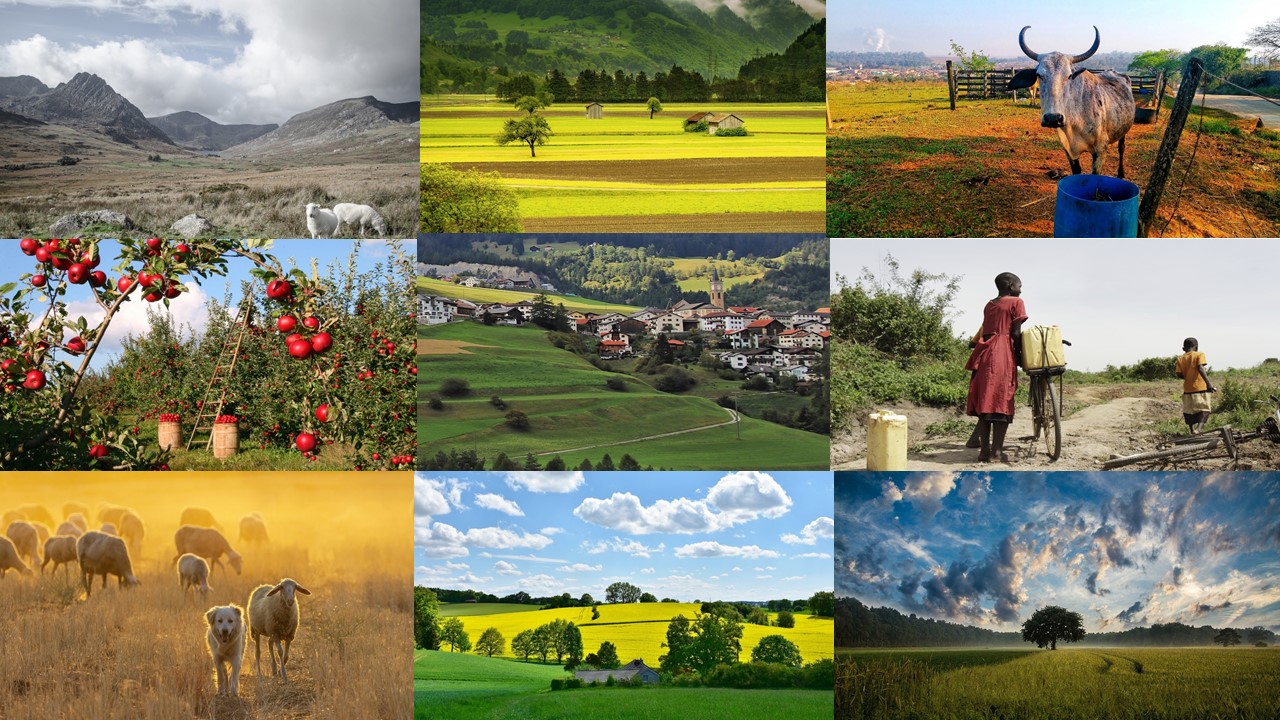 Rural Diverse