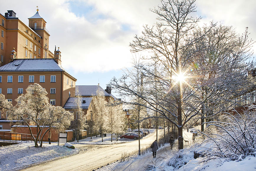 Big house facades. Snow on the ground and a winter sunlight.