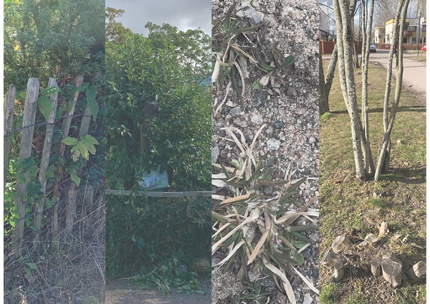 Transformative landscapes of the Million Programme: Spatial and ethnographic case studies of welfare