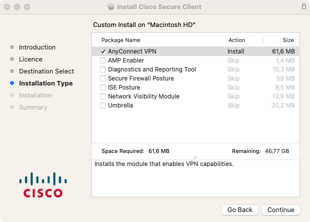Options at installations of Cisco Secure Client