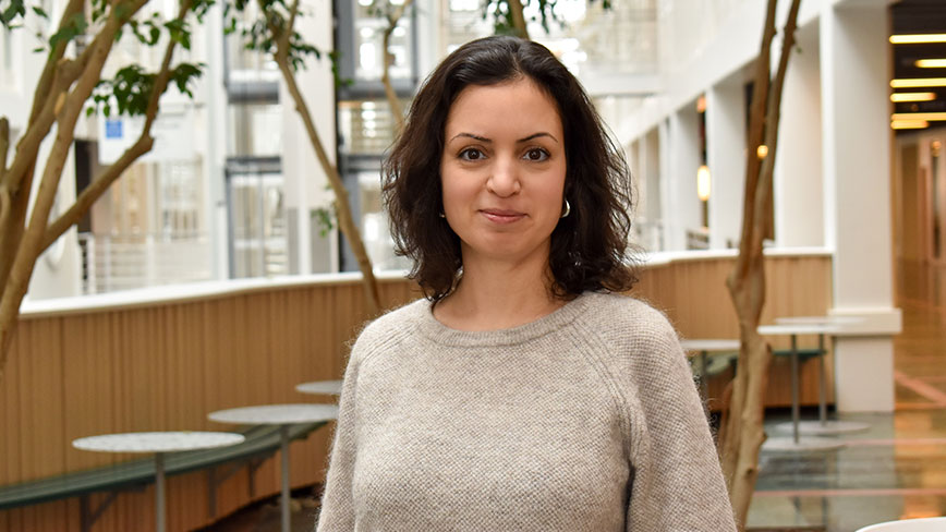 Nilgün Aydin är studievägledare för civilingenjörsutbildningen i Informationsteknik.  