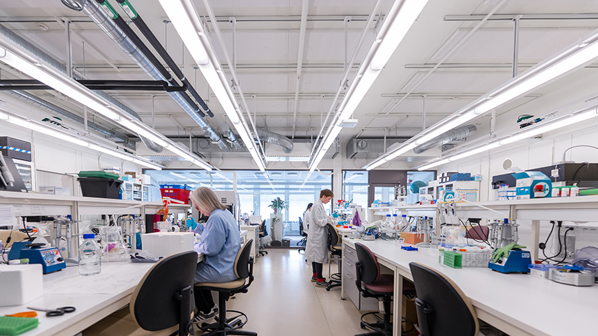 Reserachers working i a laboratory.