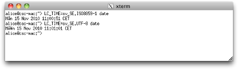 X11.app's xterm