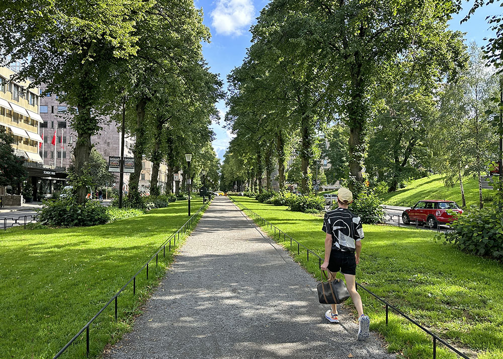 Ett grönområde med gång- och cykelväg mellan två gator. 