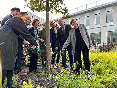 A group of people surrounding a tree and watering the soil