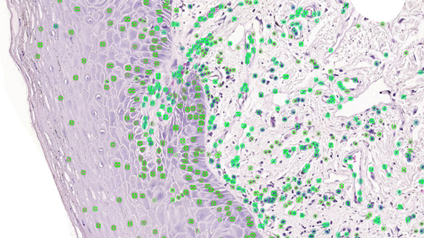 Foundations of data science research