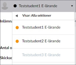 Rullgardinslista av studenter i SpeedGrader. Två har en orange cirkel vid sitt namn.