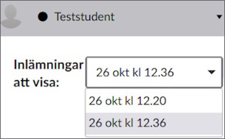 Sidofältet i SpeedGrader med en rullgardinslista över två olika inlämningar.