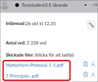 Sidolisten i SpeedGrader med två filer under "Skickade filer", inringade.