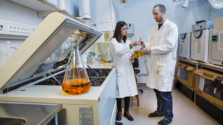 Researchers in a lab.