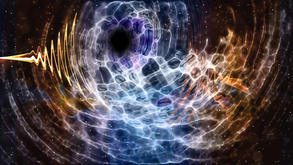 Circadian Waves