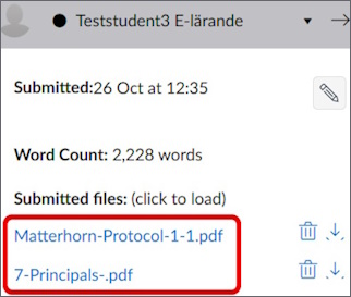 Sidebar in SpeedGrader with two files under "Sent Files", circled.