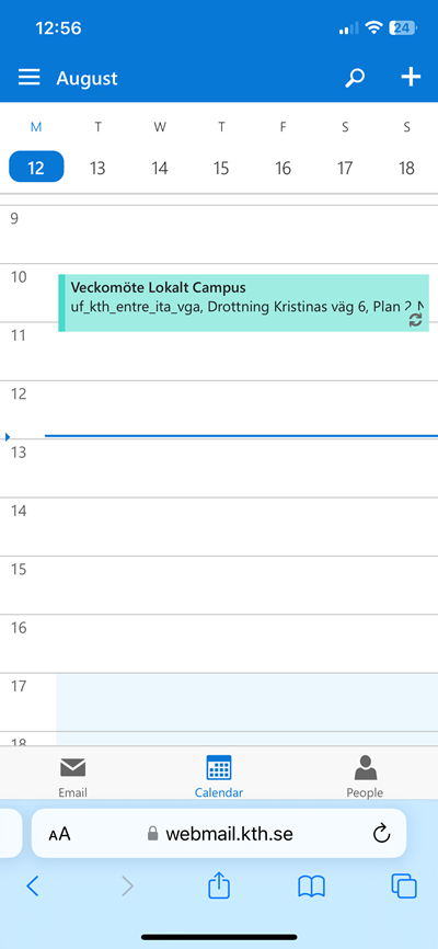 Calendar view showing chosen calendars