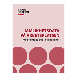  Jämlikhetsdata på arbetsplatsen med fokus på etnisk tillhörighet