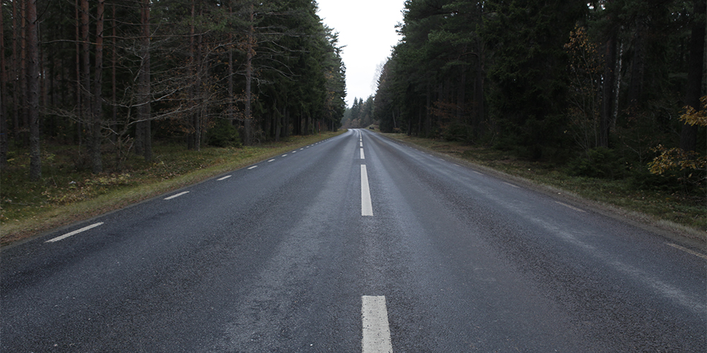 paved road through forest