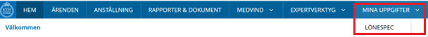 Visar steg 1 se lönespecifikation, klicka på "Mina uppgifter/Lönespec".