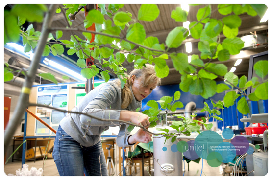 En kvinna som jubbar med laboratorieutrustning under en gren med gröna blad