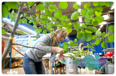 A researcher working behind a branch with green leaves