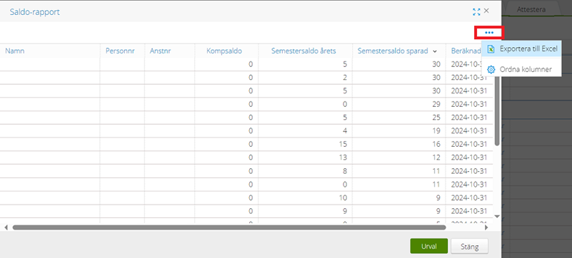 Shows current vacation balance for each employee.