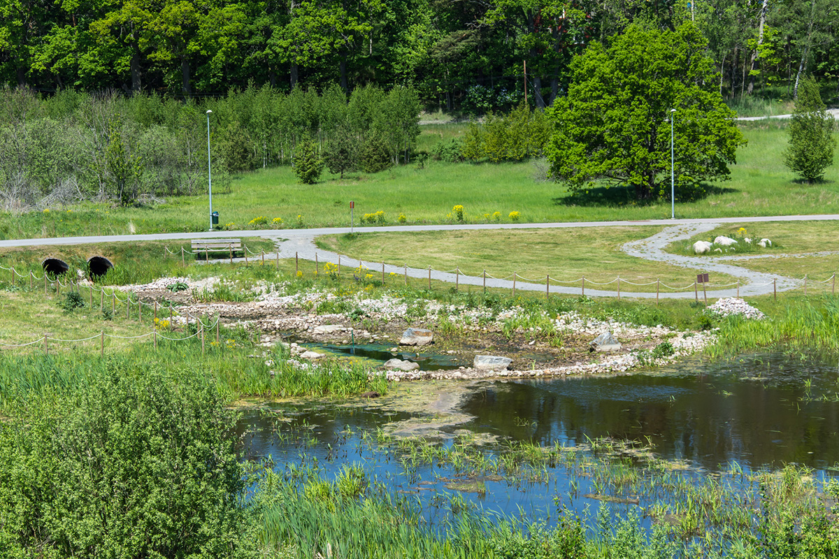 urban wetlands