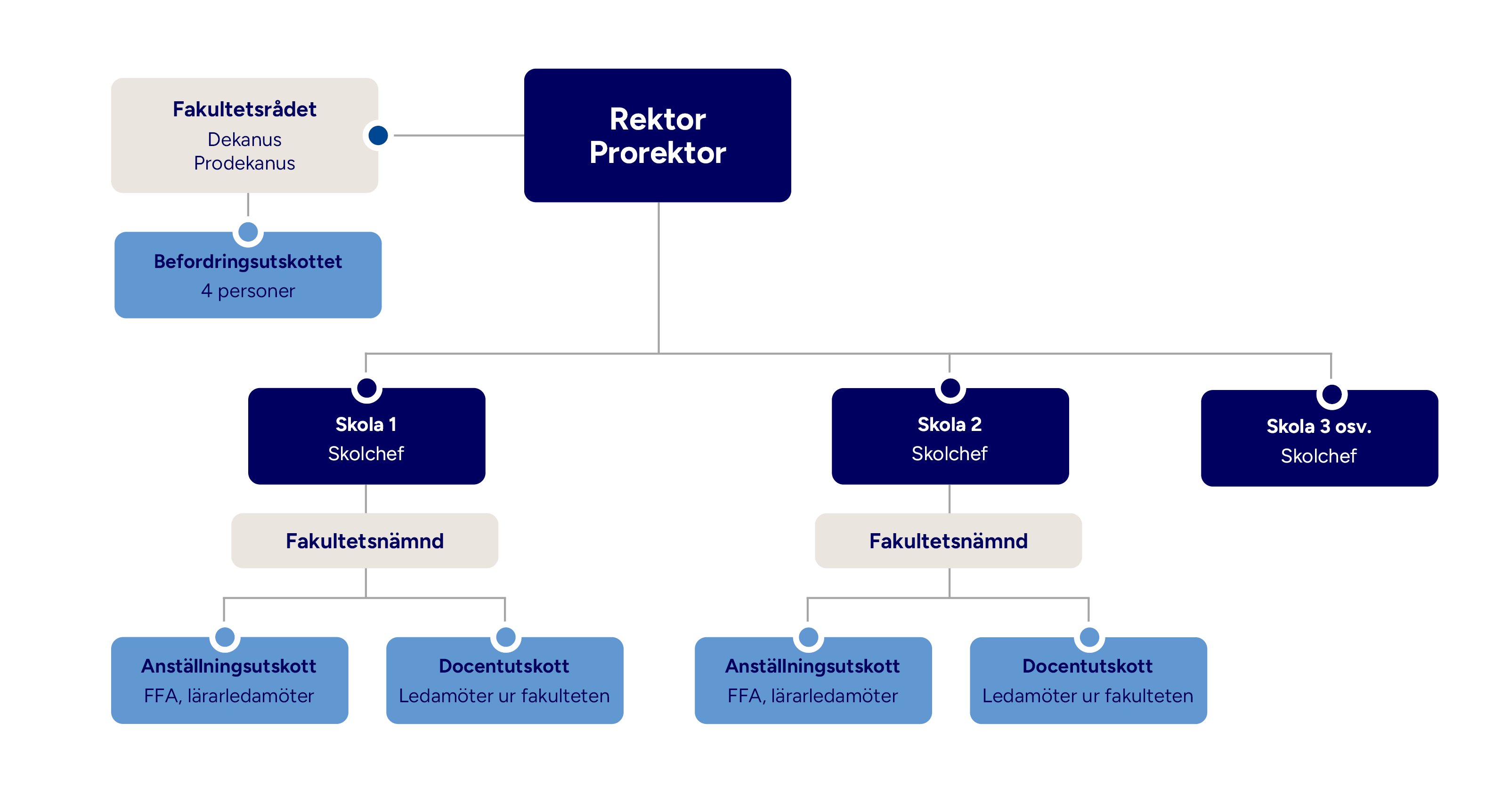 Organizational map of KTH's bodies for teacher appointments, where two committees are under the FN.