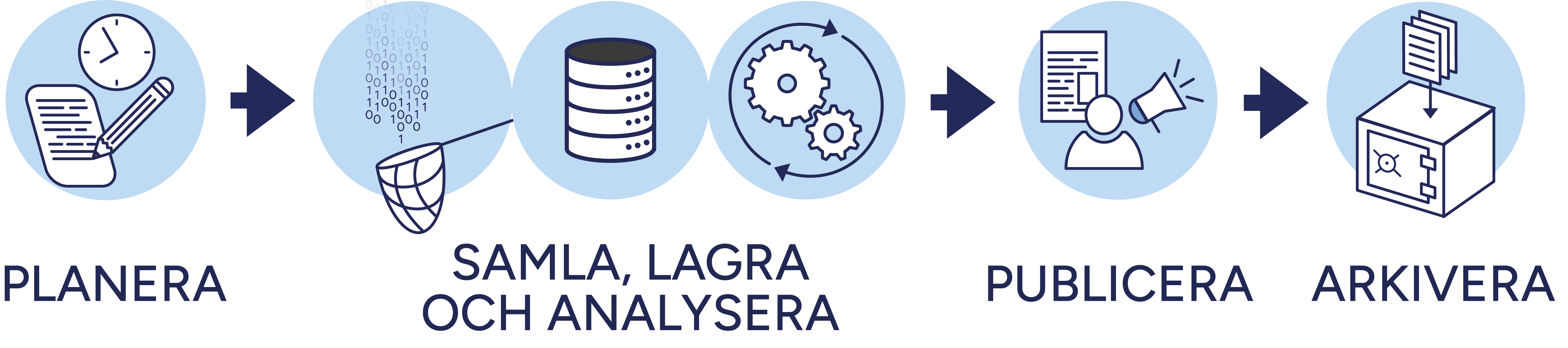 Grafik forskningsdatalivscykeln