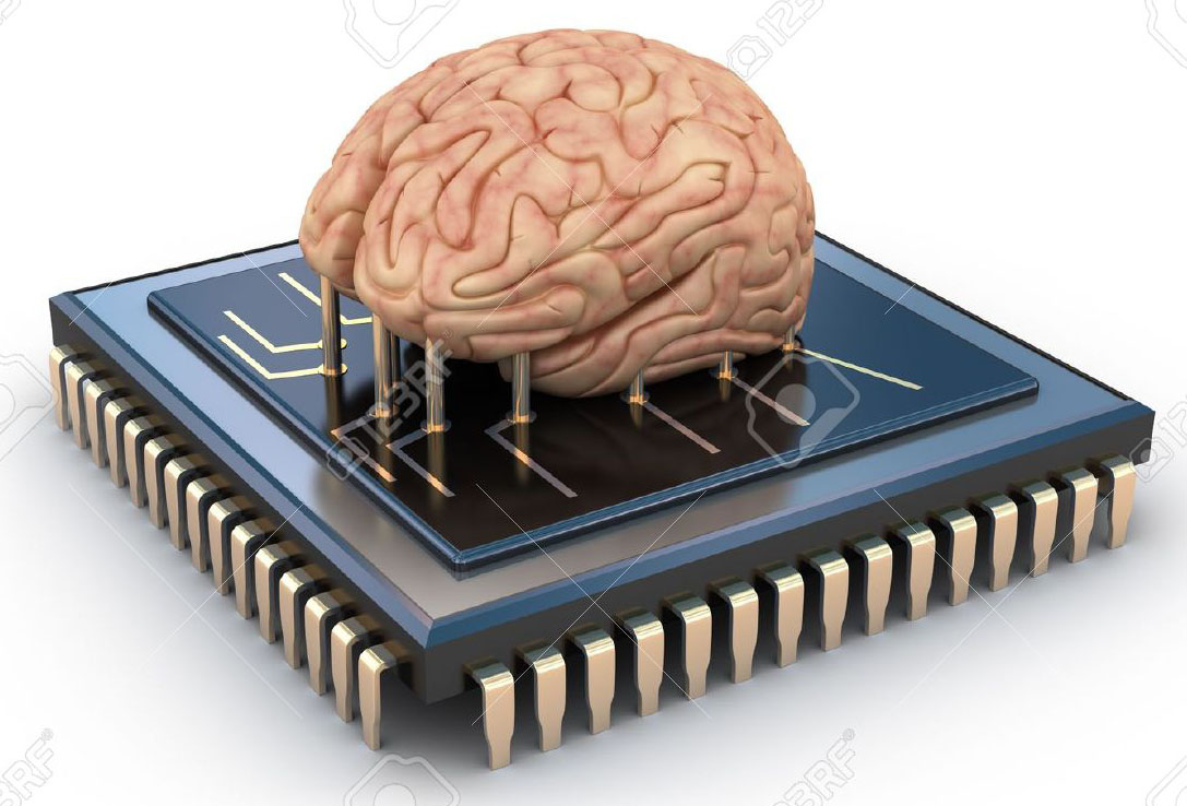 Computational Brain Science
