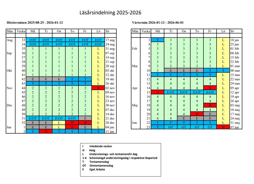 Läsåret 25-26 i grafisk form