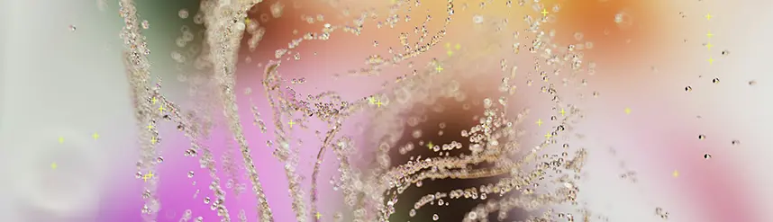 An abstract image in many different colors