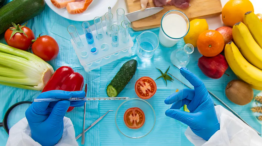 Researchers conducting experiments with food.