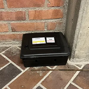 Rat trap