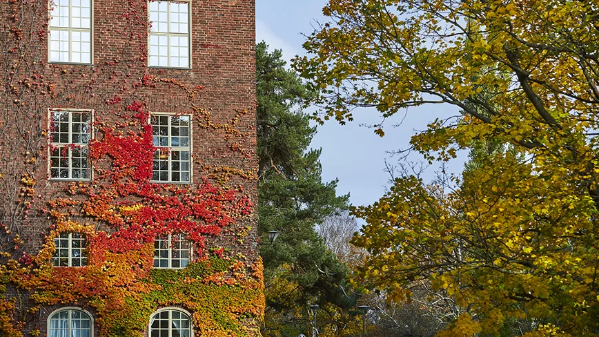 Campus in the fall.