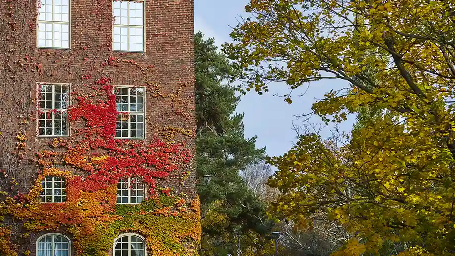Hus med på KTH kampus, med höst färg. 