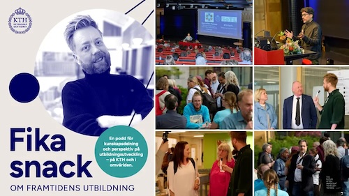 Bildkollage från Storträffen.