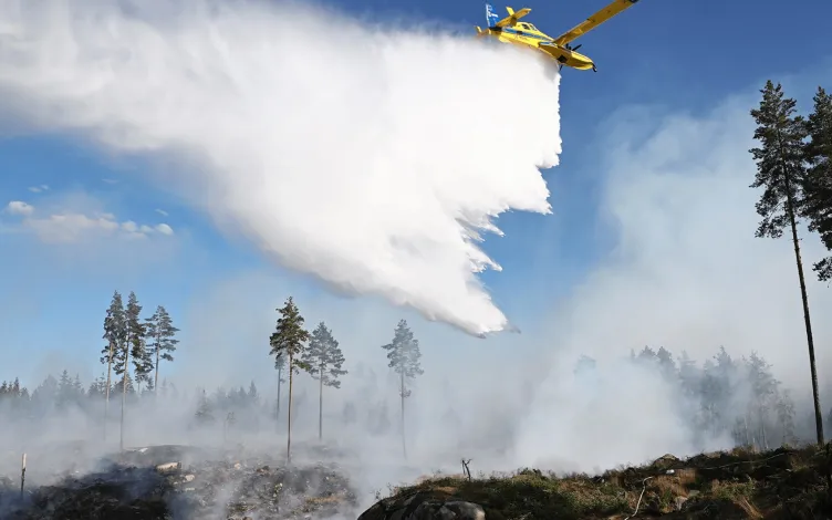 Rescue services tackling forest fires