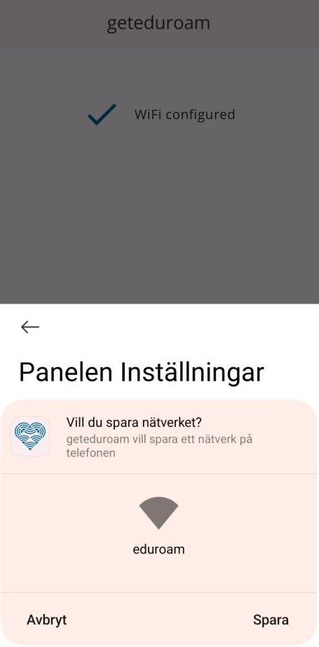 Vill du spara nätverket?