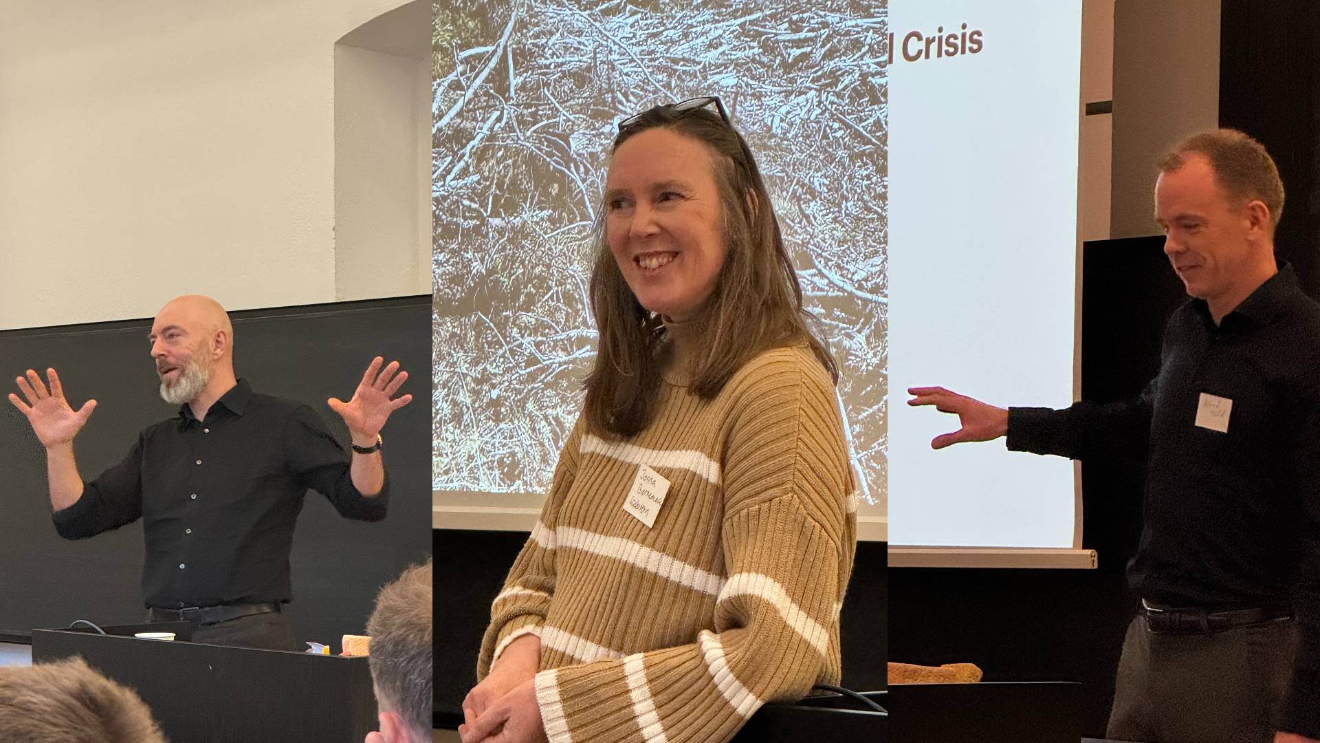 Pictures taken by Anna Heymowska