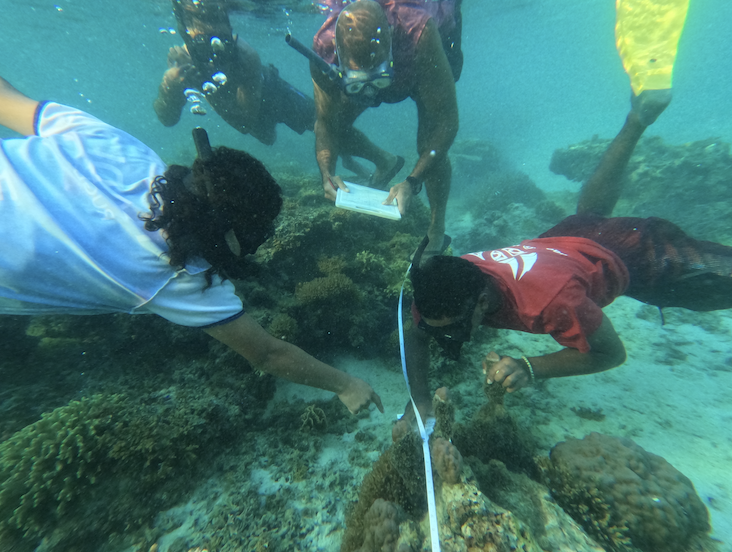 Gauri and collaborators in the sea