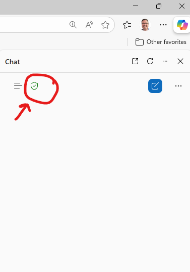 en bild som visar den gröna skölden i Co Pilot