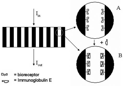 Polarimetric detection will be used in POSITIVE